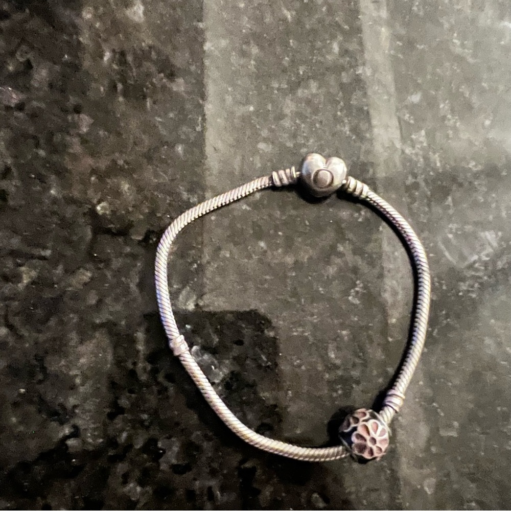 Pandora Bracelet 8inch with Charm